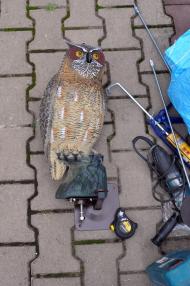 Trojrozměrné makety dravců - montáž