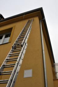 Trojrozměrné makety dravců - montáž