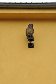 Trojrozměrné makety dravců - montáž