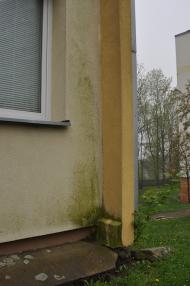 Likvidace plísní na fasádě - Hrdlovská, Osek