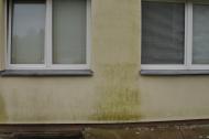 Likvidace plísní na fasádě - Hrdlovská, Osek
