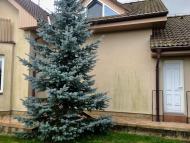 Revitalizace fasády, odstranění řas a plísní