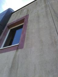 Odstranění biologického napadení a nátěr fasády - Eurovia