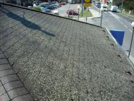 Očištění střechy poškozené mechy, aplikace fungicidu