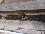 Méně příjemná stránka naší práce.