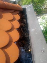 Žlaby zanesené listím.